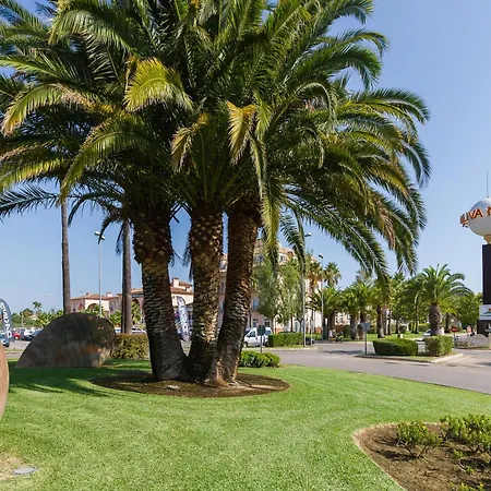 Par3 Oliva